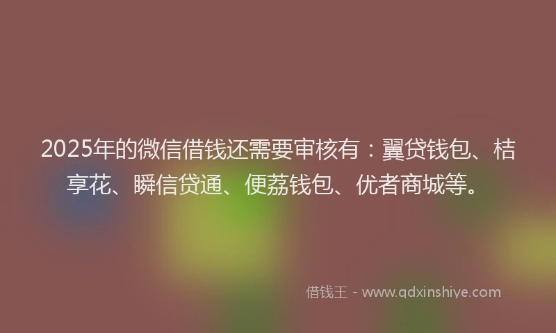 2025年的微信借钱还需要审核有：翼贷钱包、桔享花、瞬信贷通、便荔钱包、优者商城等。