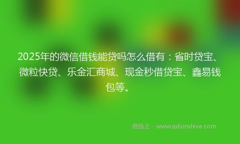2025年的微信借钱能贷吗怎么借有：省时贷宝、微粒快贷、乐金汇商城、现金秒借贷宝、鑫易钱包等。