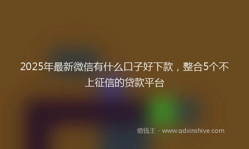 2025年最新微信有什么口子好下款，整合5个不上征信的贷款平台