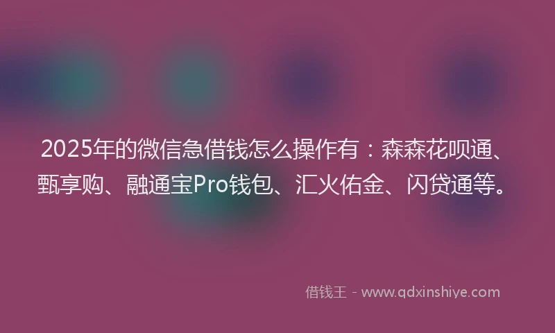 2025年的微信急借钱怎么操作有：森森花呗通、甄享购、融通宝Pro钱包、汇火佑金、闪贷通等。
