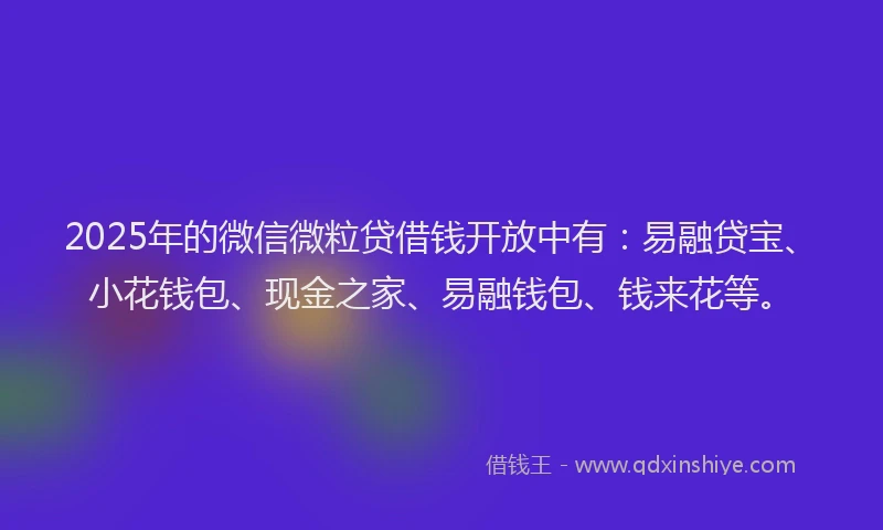 2025年的微信微粒贷借钱开放中有：易融贷宝、小花钱包、现金之家、易融钱包、钱来花等。