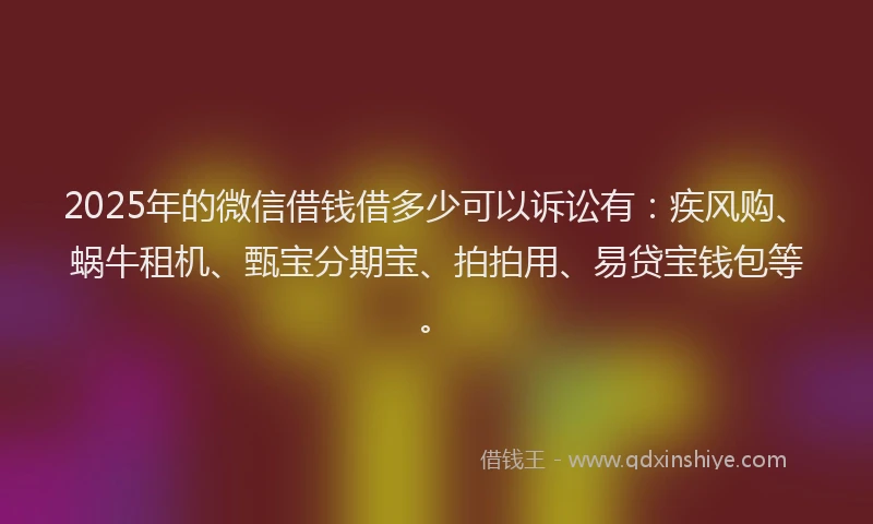 2025年的微信借钱借多少可以诉讼有：疾风购、蜗牛租机、甄宝分期宝、拍拍用、易贷宝钱包等。