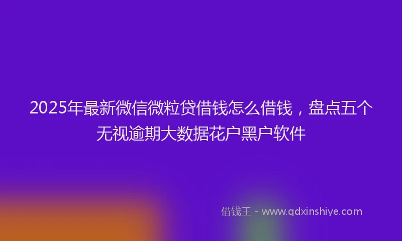 2025年最新微信微粒贷借钱怎么借钱，盘点五个无视逾期大数据花户黑户软件