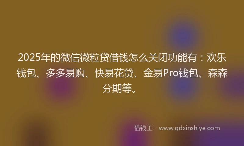 2025年的微信微粒贷借钱怎么关闭功能有：欢乐钱包、多多易购、快易花贷、金易Pro钱包、森森分期等。
