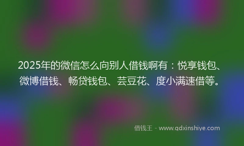2025年的微信怎么向别人借钱啊有：悦享钱包、微博借钱、畅贷钱包、芸豆花、度小满速借等。