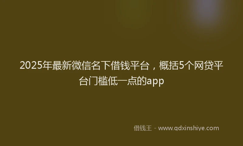 2025年最新微信名下借钱平台，概括5个网贷平台门槛低一点的app
