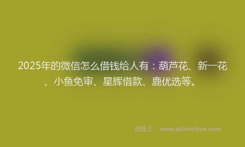 2025年的微信怎么借钱给人有：葫芦花、新一花、小鱼免审、星辉借款、鹿优选等。