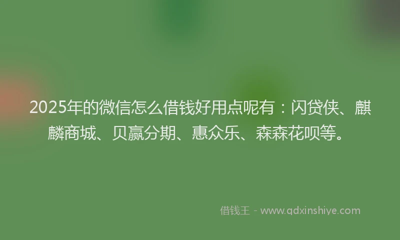 2025年的微信怎么借钱好用点呢有：闪贷侠、麒麟商城、贝赢分期、惠众乐、森森花呗等。