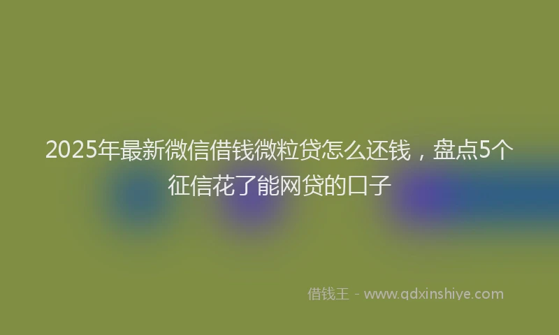 2025年最新微信借钱微粒贷怎么还钱，盘点5个征信花了能网贷的口子