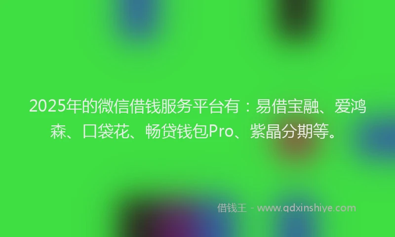 2025年的微信借钱服务平台有：易借宝融、爱鸿森、口袋花、畅贷钱包Pro、紫晶分期等。