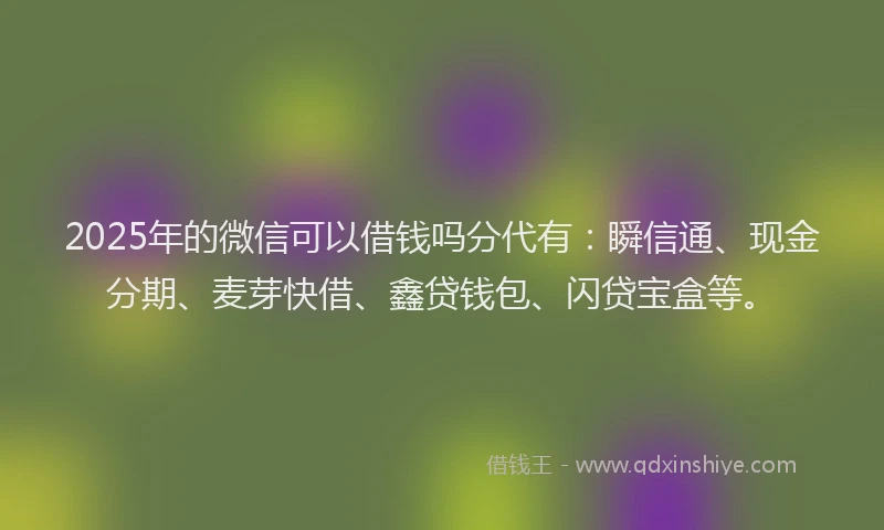 2025年的微信可以借钱吗分代有：瞬信通、现金分期、麦芽快借、鑫贷钱包、闪贷宝盒等。
