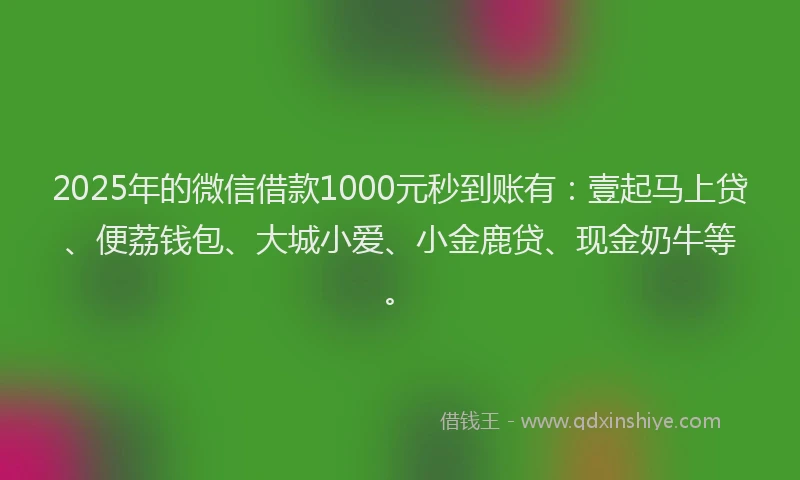 2025年的微信借款1000元秒到账有：壹起马上贷、便荔钱包、大城小爱、小金鹿贷、现金奶牛等。