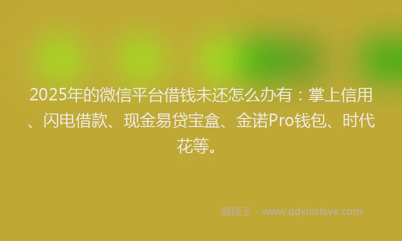 2025年的微信平台借钱未还怎么办有：掌上信用、闪电借款、现金易贷宝盒、金诺Pro钱包、时代花等。