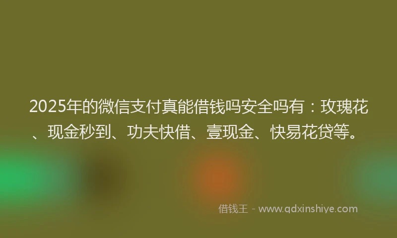 2025年的微信支付真能借钱吗安全吗有：玫瑰花、现金秒到、功夫快借、壹现金、快易花贷等。