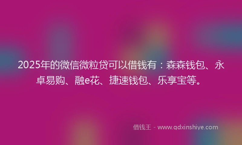 2025年的微信微粒贷可以借钱有：森森钱包、永卓易购、融e花、捷速钱包、乐享宝等。