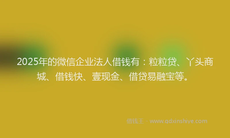 2025年的微信企业法人借钱有：粒粒贷、丫头商城、借钱快、壹现金、借贷易融宝等。