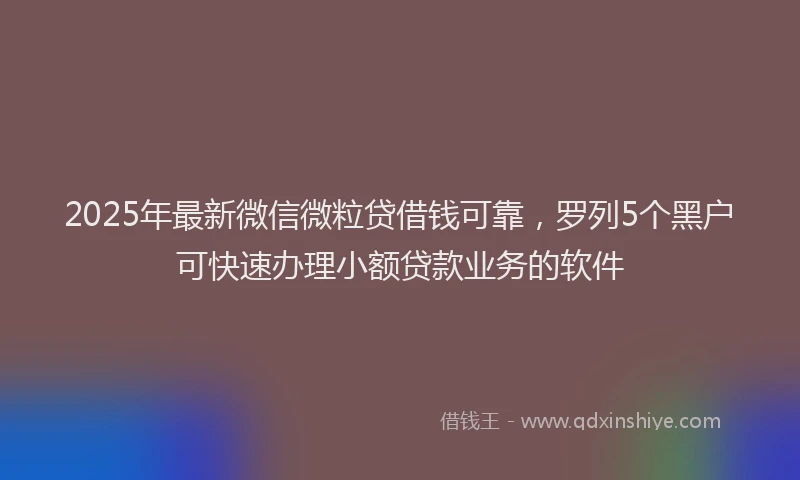 2025年最新微信微粒贷借钱可靠，罗列5个黑户可快速办理小额贷款业务的软件