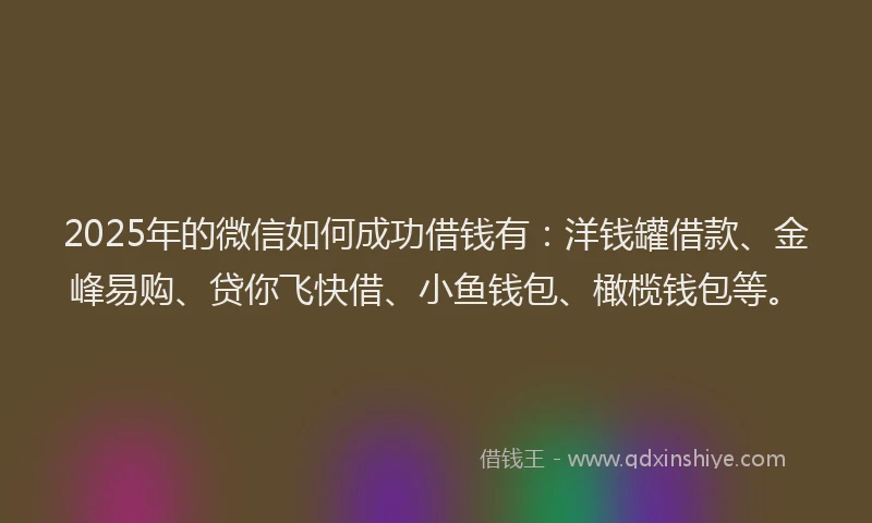 2025年的微信如何成功借钱有：洋钱罐借款、金峰易购、贷你飞快借、小鱼钱包、橄榄钱包等。