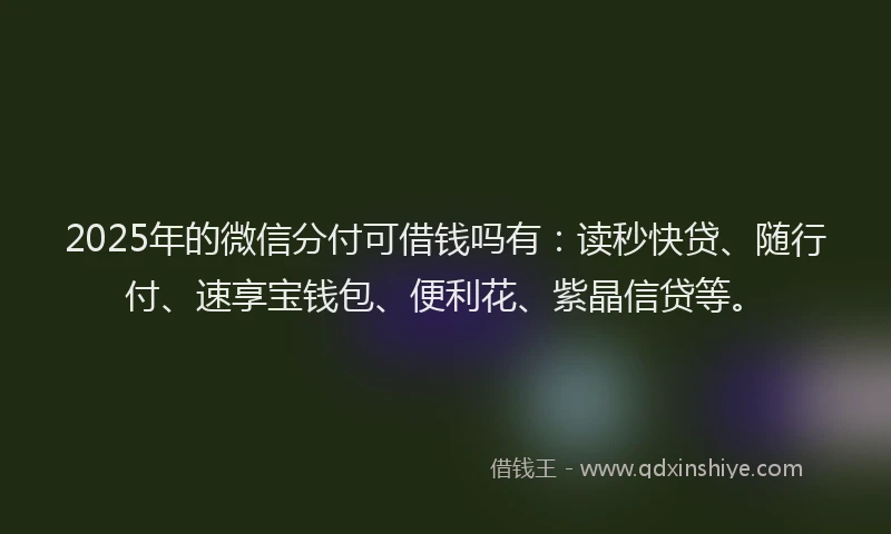 2025年的微信分付可借钱吗有：读秒快贷、随行付、速享宝钱包、便利花、紫晶信贷等。