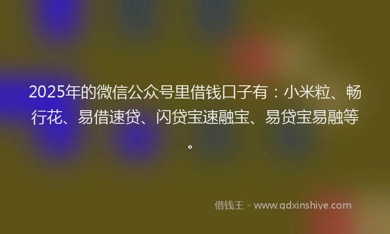2025年的微信公众号里借钱口子有：小米粒、畅行花、易借速贷、闪贷宝速融宝、易贷宝易融等。