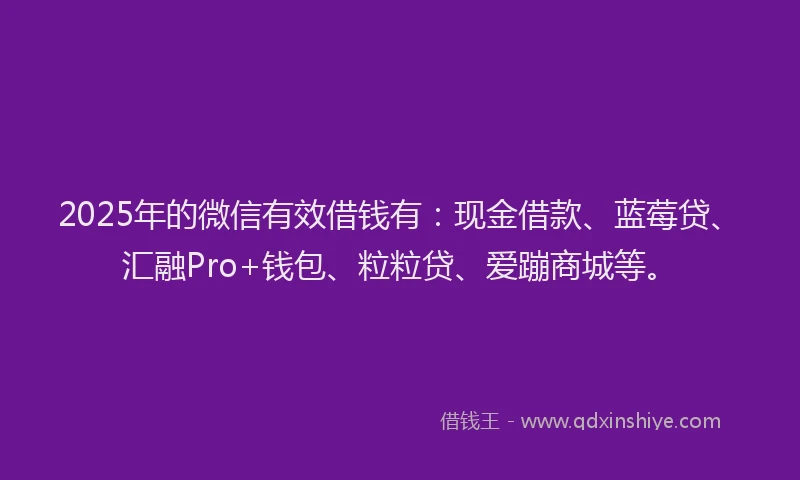 2025年的微信有效借钱有：现金借款、蓝莓贷、汇融Pro+钱包、粒粒贷、爱蹦商城等。