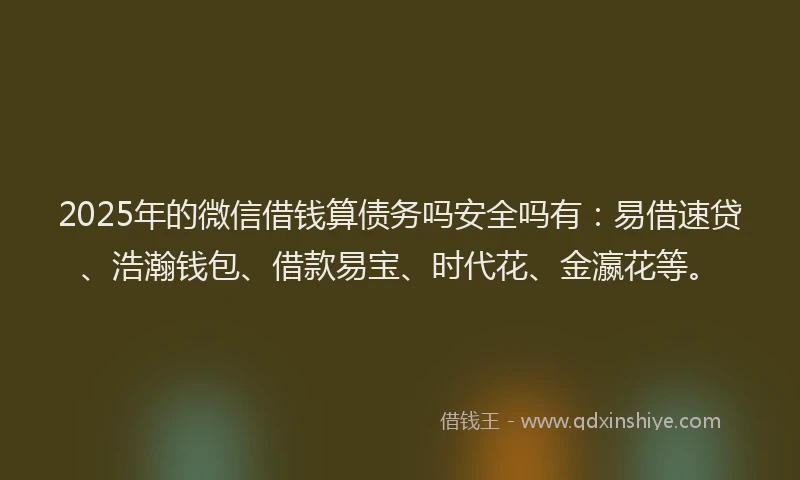 2025年的微信借钱算债务吗安全吗有：易借速贷、浩瀚钱包、借款易宝、时代花、金瀛花等。