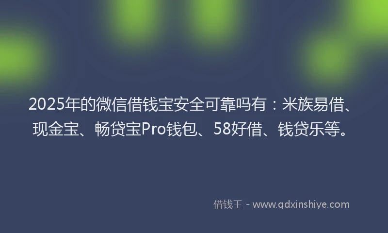 2025年的微信借钱宝安全可靠吗有：米族易借、现金宝、畅贷宝Pro钱包、58好借、钱贷乐等。