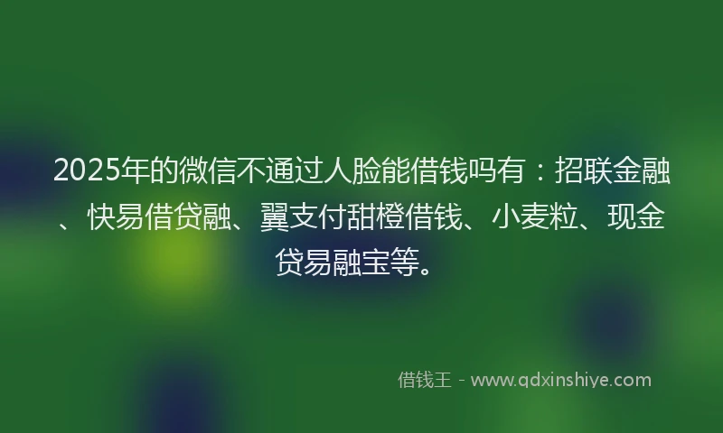 2025年的微信不通过人脸能借钱吗有：招联金融、快易借贷融、翼支付甜橙借钱、小麦粒、现金贷易融宝等。