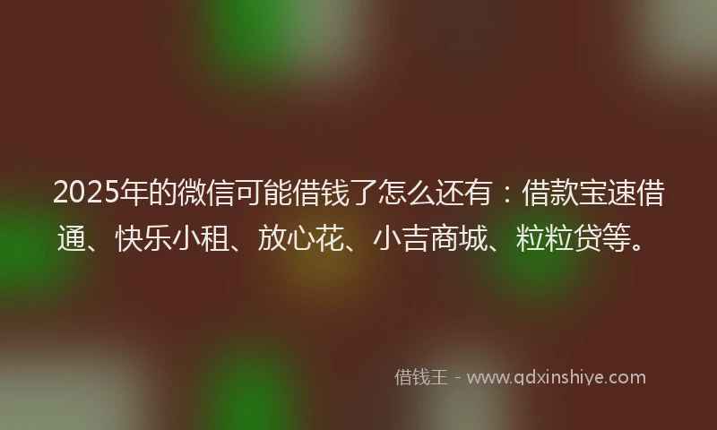 2025年的微信可能借钱了怎么还有：借款宝速借通、快乐小租、放心花、小吉商城、粒粒贷等。