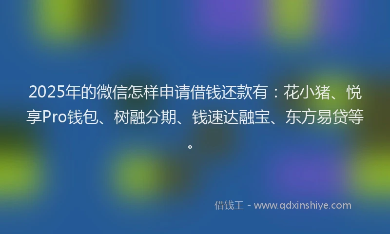 2025年的微信怎样申请借钱还款有：花小猪、悦享Pro钱包、树融分期、钱速达融宝、东方易贷等。