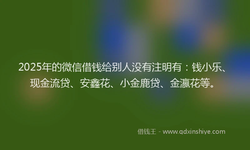 2025年的微信借钱给别人没有注明有：钱小乐、现金流贷、安鑫花、小金鹿贷、金瀛花等。