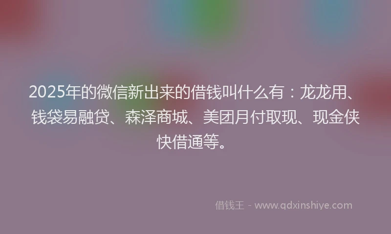 2025年的微信新出来的借钱叫什么有：龙龙用、钱袋易融贷、森泽商城、美团月付取现、现金侠快借通等。