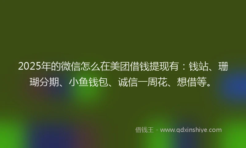 2025年的微信怎么在美团借钱提现有：钱站、珊瑚分期、小鱼钱包、诚信一周花、想借等。