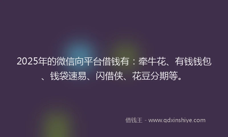 2025年的微信向平台借钱有：牵牛花、有钱钱包、钱袋速易、闪借侠、花豆分期等。