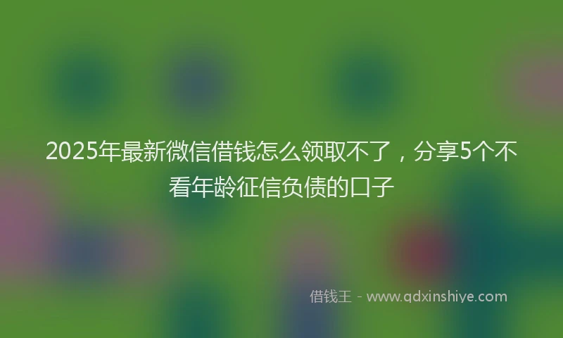 2025年最新微信借钱怎么领取不了，分享5个不看年龄征信负债的口子