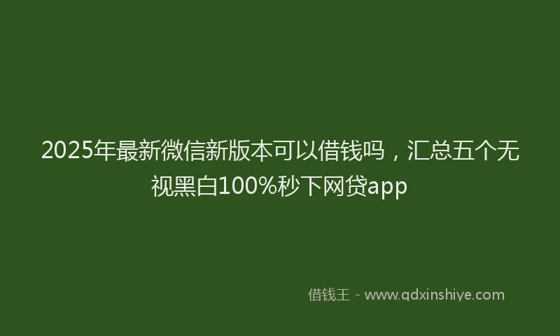 2025年最新微信新版本可以借钱吗，汇总五个无视黑白100%秒下网贷app