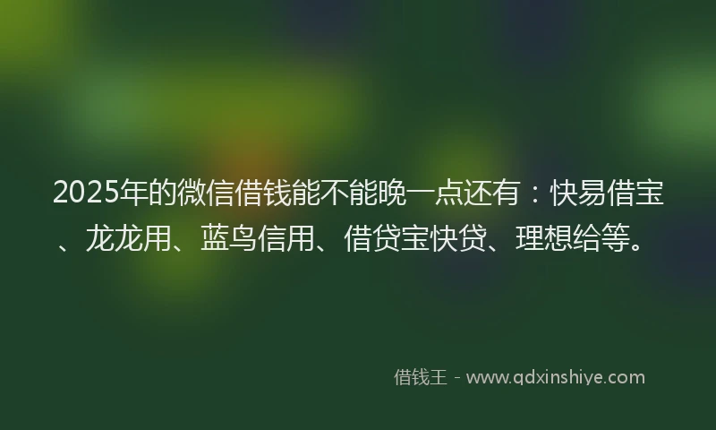 2025年的微信借钱能不能晚一点还有：快易借宝、龙龙用、蓝鸟信用、借贷宝快贷、理想给等。