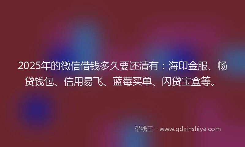2025年的微信借钱多久要还清有：海印金服、畅贷钱包、信用易飞、蓝莓买单、闪贷宝盒等。