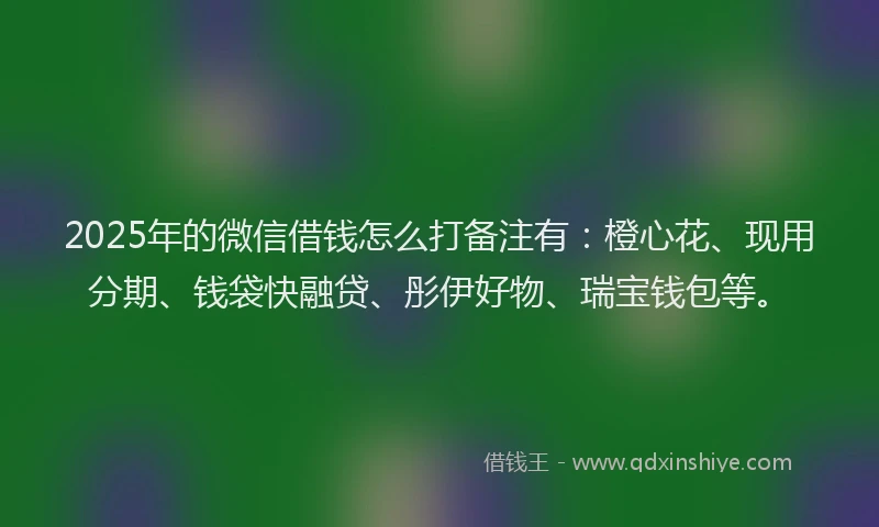 2025年的微信借钱怎么打备注有：橙心花、现用分期、钱袋快融贷、彤伊好物、瑞宝钱包等。
