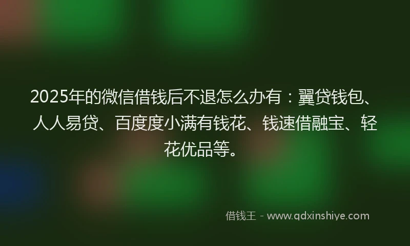 2025年的微信借钱后不退怎么办有：翼贷钱包、人人易贷、百度度小满有钱花、钱速借融宝、轻花优品等。