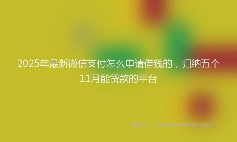 2025年最新微信支付怎么申请借钱的，归纳五个11月能贷款的平台