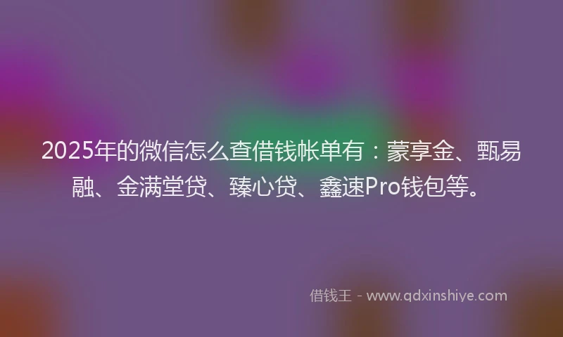 2025年的微信怎么查借钱帐单有：蒙享金、甄易融、金满堂贷、臻心贷、鑫速Pro钱包等。