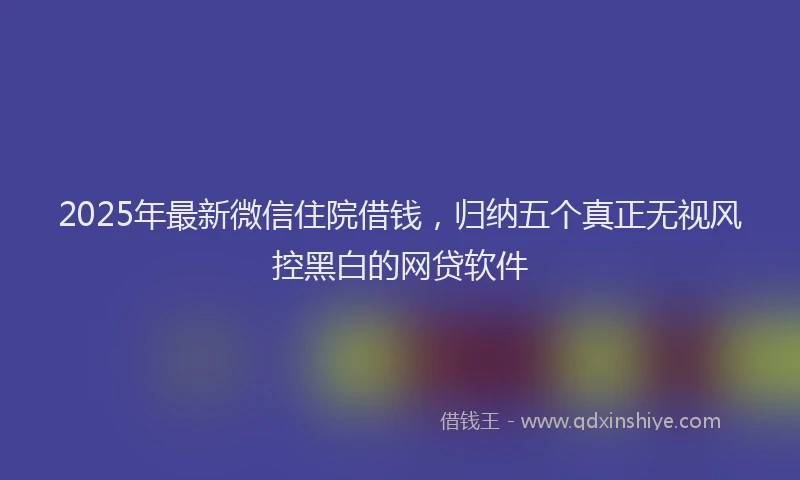 2025年最新微信住院借钱，归纳五个真正无视风控黑白的网贷软件