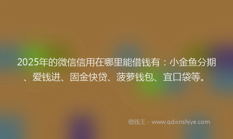 2025年的微信信用在哪里能借钱有：小金鱼分期、爱钱进、固金快贷、菠萝钱包、宜口袋等。