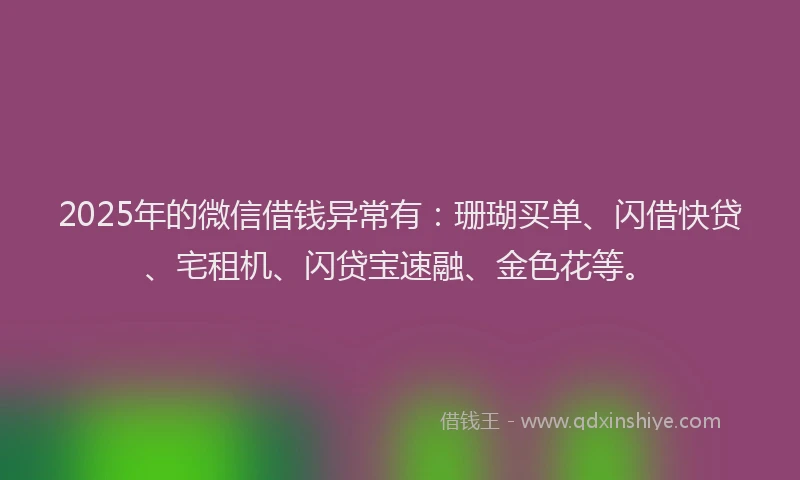 2025年的微信借钱异常有:珊瑚买单、闪借快贷、宅租机、闪贷宝速融、金色花等。
