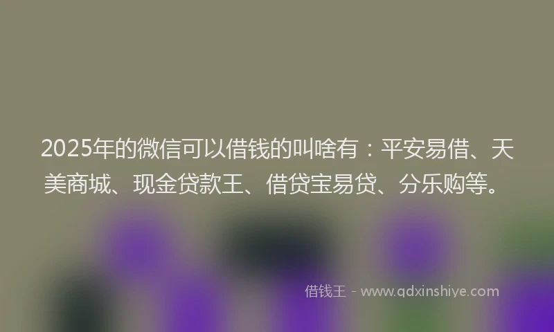 2025年的微信可以借钱的叫啥有：平安易借、天美商城、现金贷款王、借贷宝易贷、分乐购等。