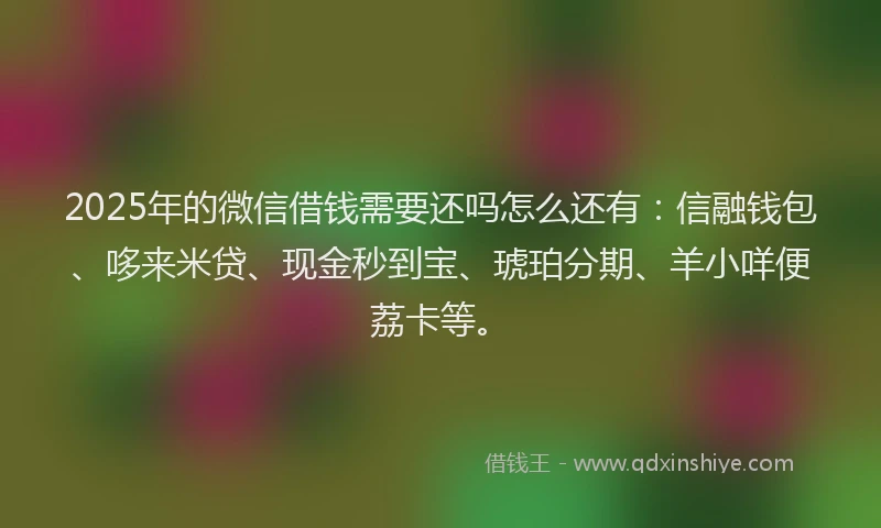 2025年的微信借钱需要还吗怎么还有：信融钱包、哆来米贷、现金秒到宝、琥珀分期、羊小咩便荔卡等。