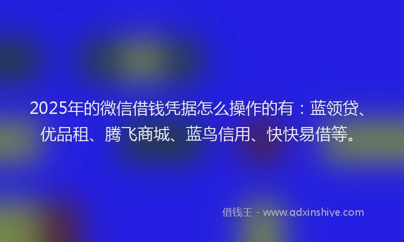 2025年的微信借钱凭据怎么操作的有：蓝领贷、优品租、腾飞商城、蓝鸟信用、快快易借等。