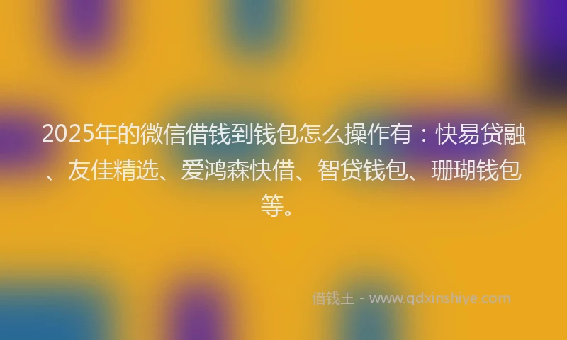 2025年的微信借钱到钱包怎么操作有：快易贷融、友佳精选、爱鸿森快借、智贷钱包、珊瑚钱包等。