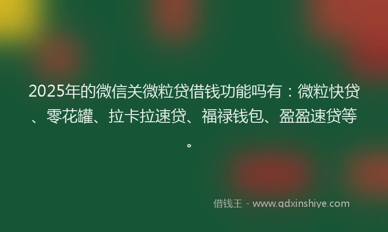 2025年的微信关微粒贷借钱功能吗有：微粒快贷、零花罐、拉卡拉速贷、福禄钱包、盈盈速贷等。